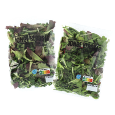 Jonge bladsla met rucola of veldsla